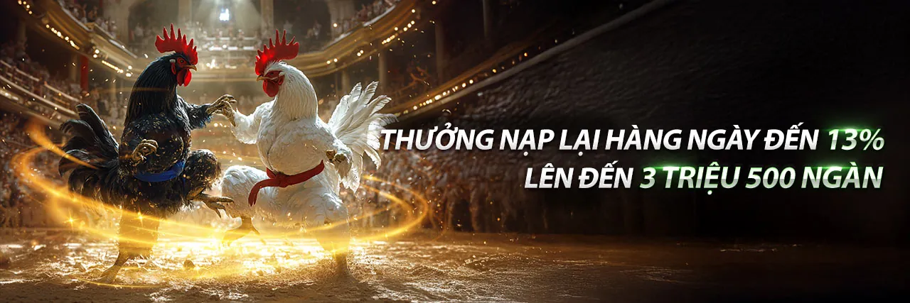 Hình ảnh đá gà trực tuyến tại sodo15 nhà cái